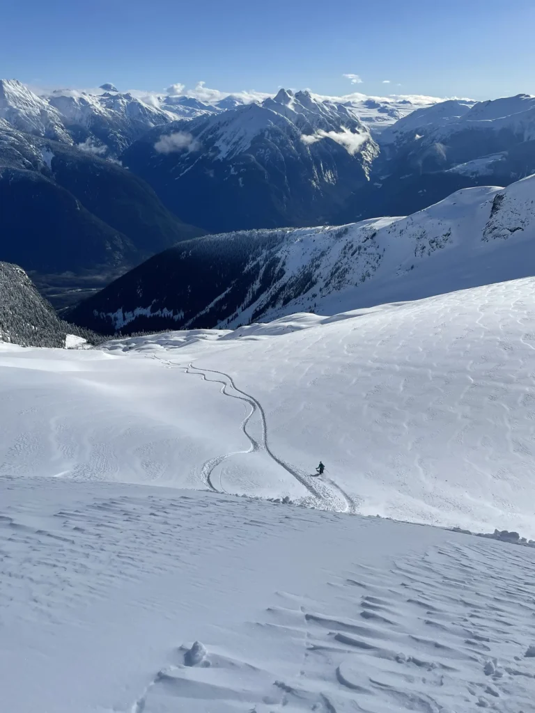 Book your Heli-Ski experience with Whitemantle Heli Sports